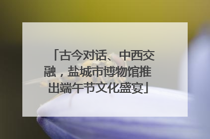 古今对话、中西交融，盐城市博物馆推出端午节文化盛宴
